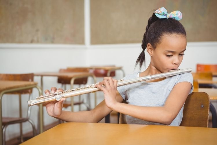 History and Types of Flutes Student Flutes