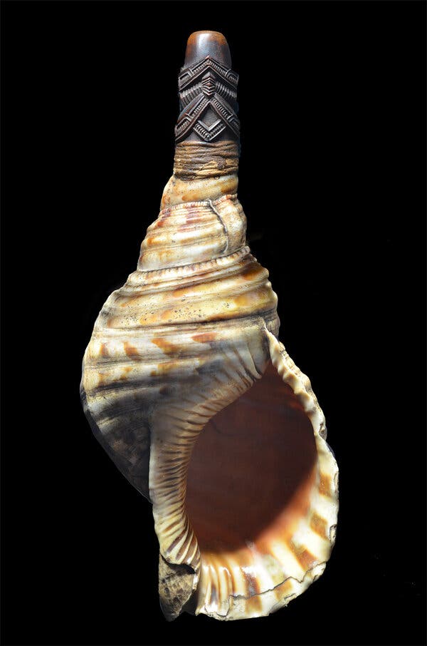 A conch from New Zealand and its mouthpiece made of a decorated bone tube.