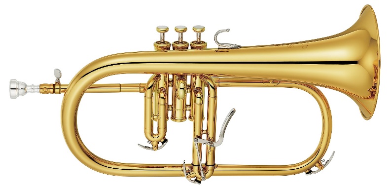 History and Types of Trumpets: trumpet instrument