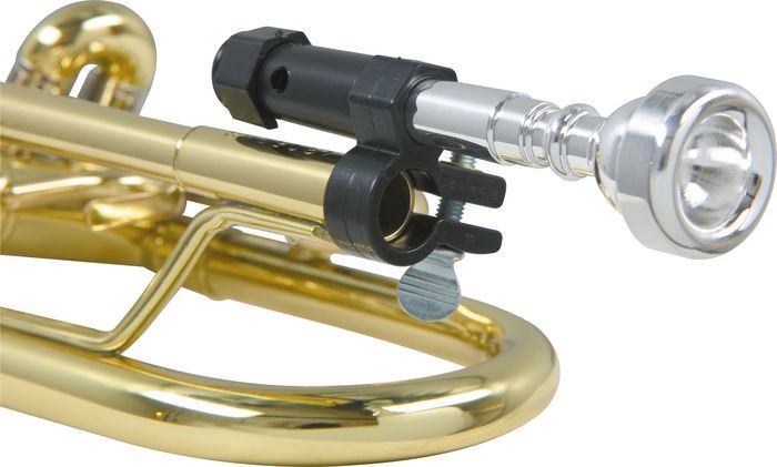 Play the Trumpet: Mouthpiece Buzzing