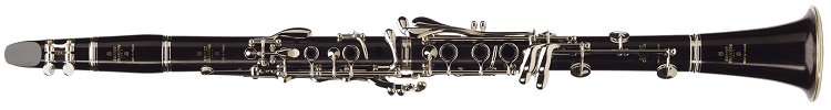 Best Buffet Clarinet Options: Buffet Crampon Professional R13