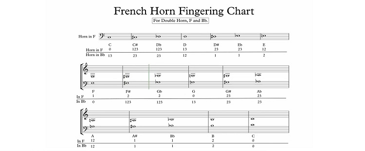 How to Learn French Horn Fingerings