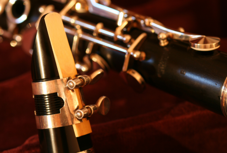 Vito Review and Guide Should You Try This Out?