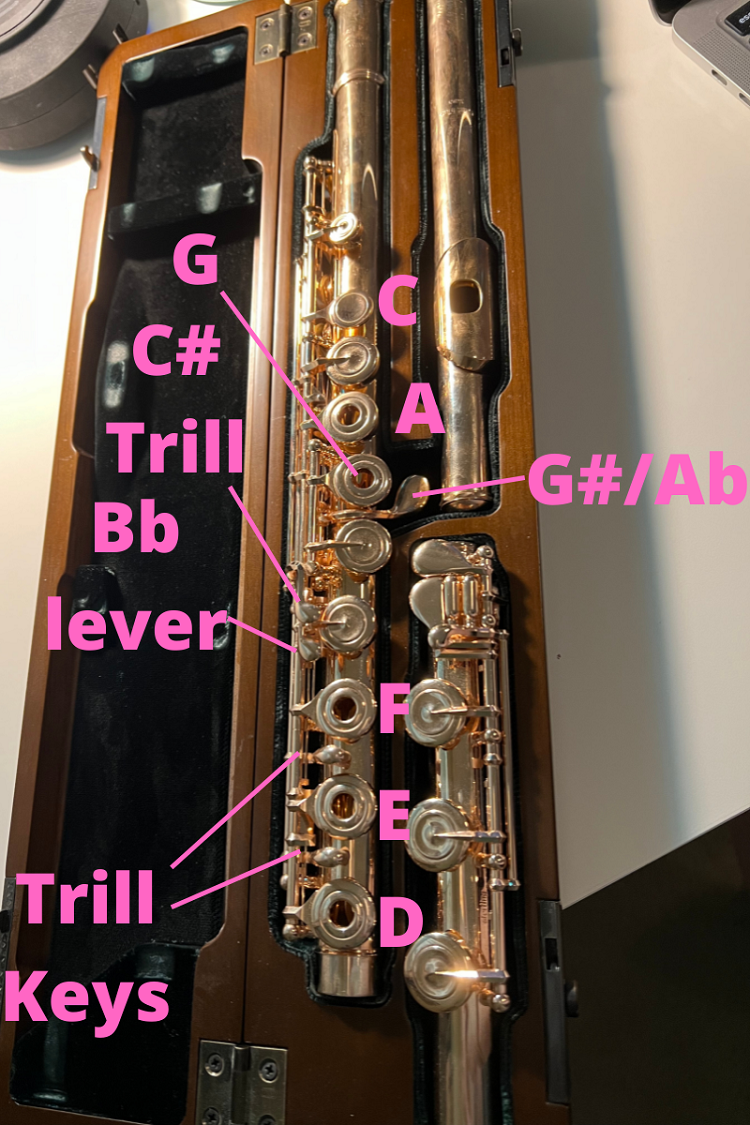 Flute Fingering Chart